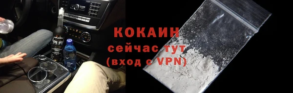 прущие грибы Рославль