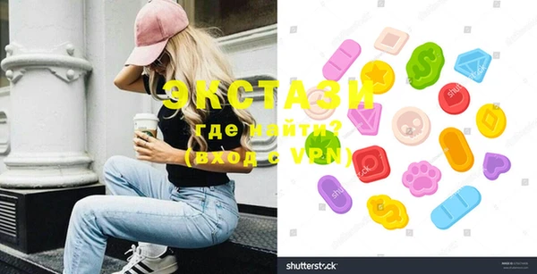 мдпв Каменка