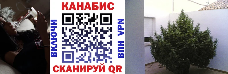 Марихуана план ссылка на мегу зеркало Малмыж